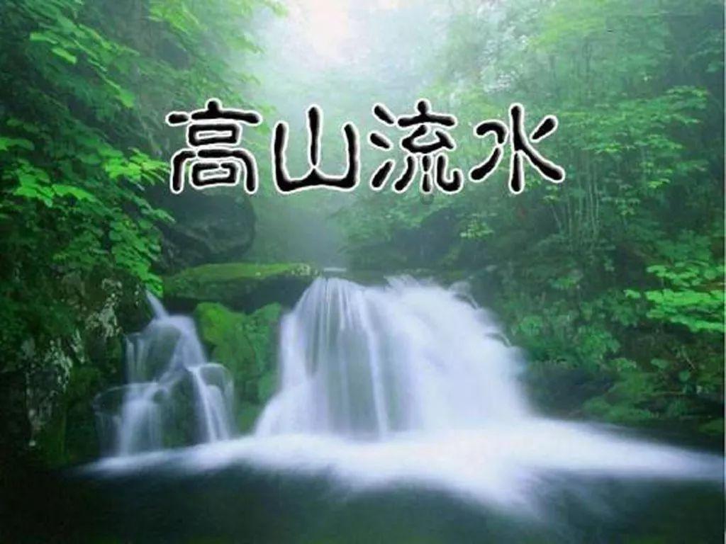 动物狂欢夜
